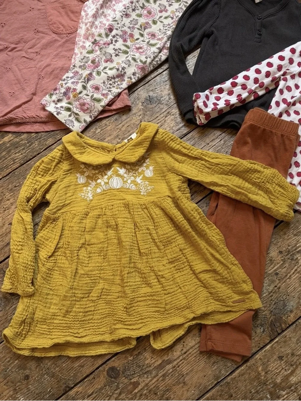 2T Girls Autumn Fall Bundle: Apple, Muslin Embroidered Pumpkin, Seasonal Chic